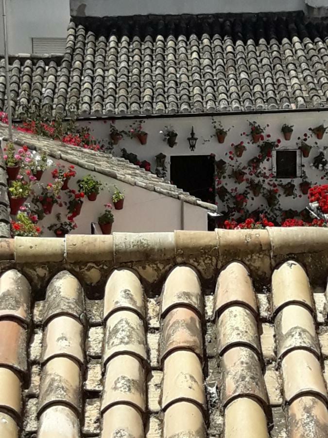 Los Tejares Del Alcazar コルドバ エクステリア 写真