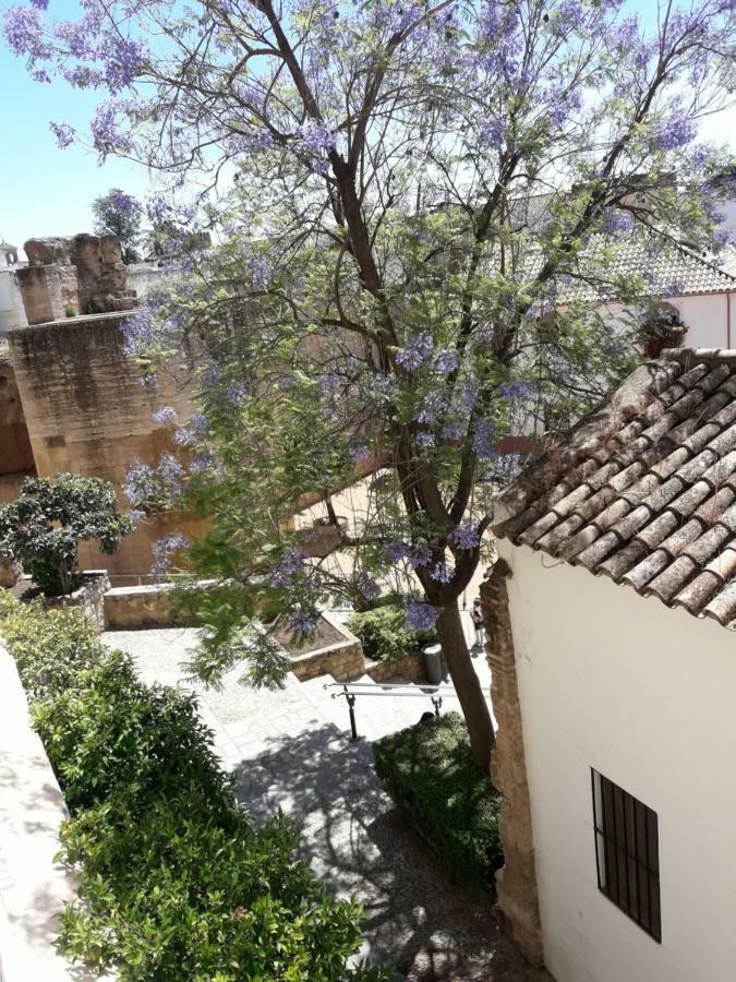Los Tejares Del Alcazar コルドバ エクステリア 写真