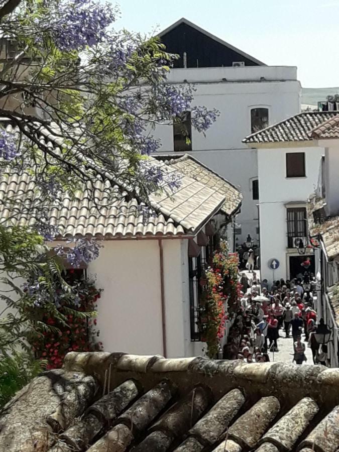 Los Tejares Del Alcazar コルドバ エクステリア 写真